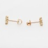 Pendientes Oro con Circones – Elegancia Brillante para Momentos Especiales